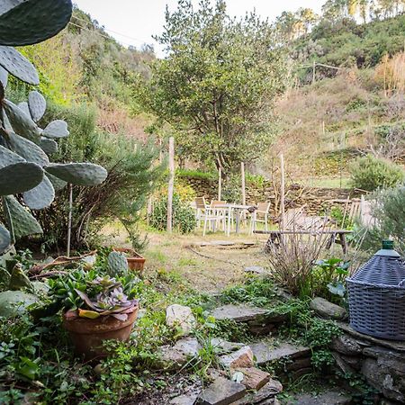 Il Limoneto Dei Cinque Sensi,Apartment With Garden Vernazza Eksteriør billede