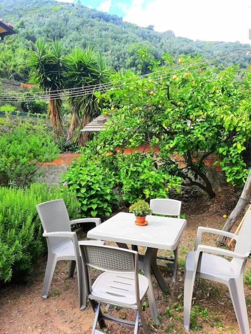 Il Limoneto Dei Cinque Sensi,Apartment With Garden Vernazza Eksteriør billede